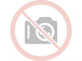 Сепаратор БИС 100